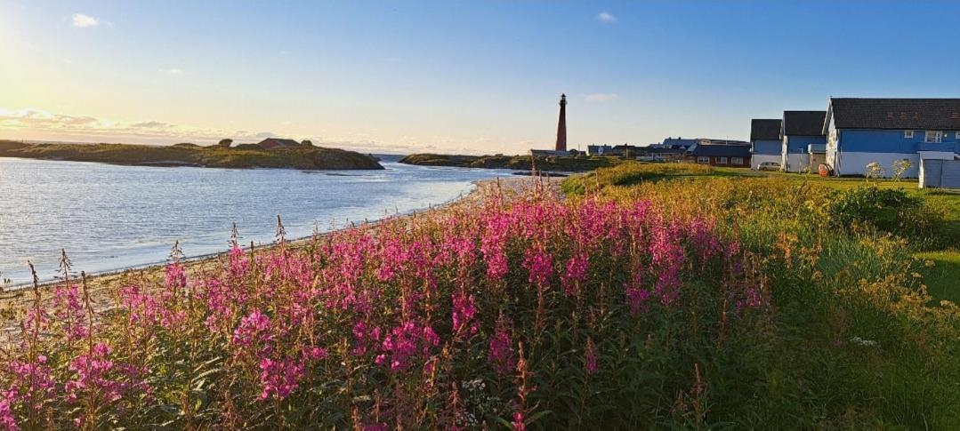 Sentral Studioleilighet Ved Stranden Og Hvalsenter Nb Ma Vaskes Etter Endt Leie Eller Betale Rengjoringshjelpen 500 Kr Andenes Exteriör bild