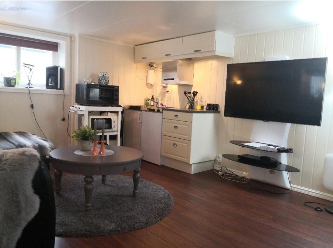 Sentral Studioleilighet Ved Stranden Og Hvalsenter Nb Ma Vaskes Etter Endt Leie Eller Betale Rengjoringshjelpen 500 Kr Andenes Exteriör bild