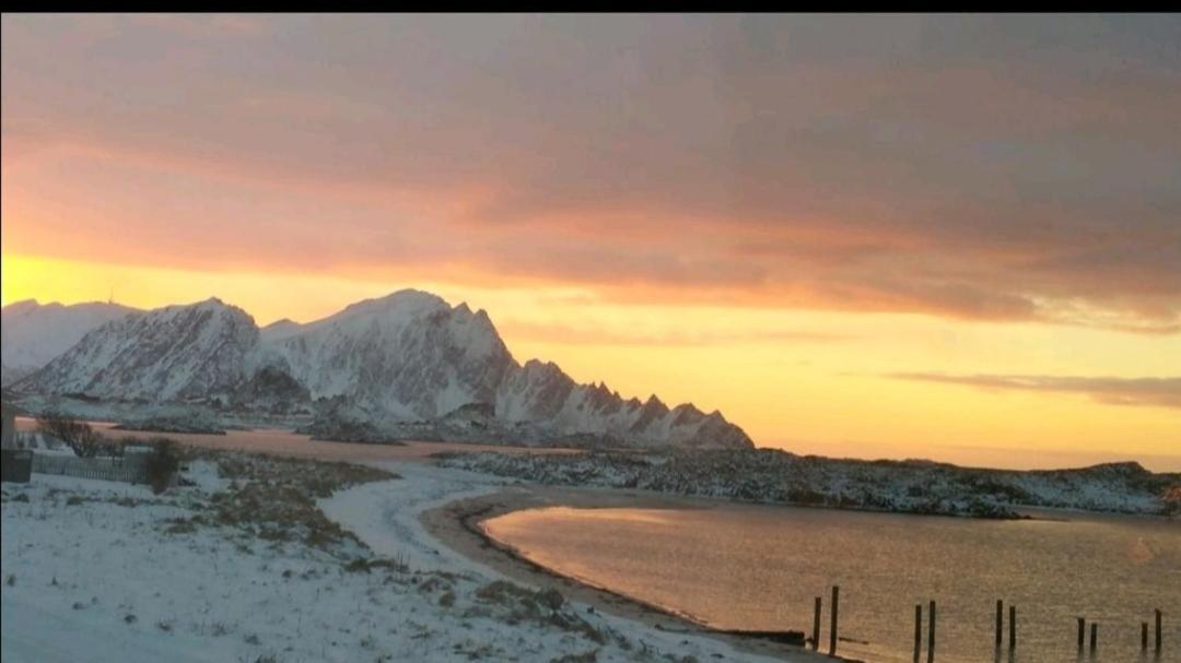 Sentral Studioleilighet Ved Stranden Og Hvalsenter Nb Ma Vaskes Etter Endt Leie Eller Betale Rengjoringshjelpen 500 Kr Andenes Exteriör bild